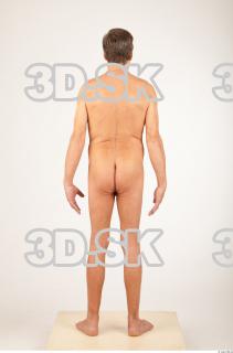 Body texture of Wendell 0015